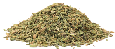 943_f50963fe16f8eea8f53edfc8ee97335b Bio Fenchel ganz