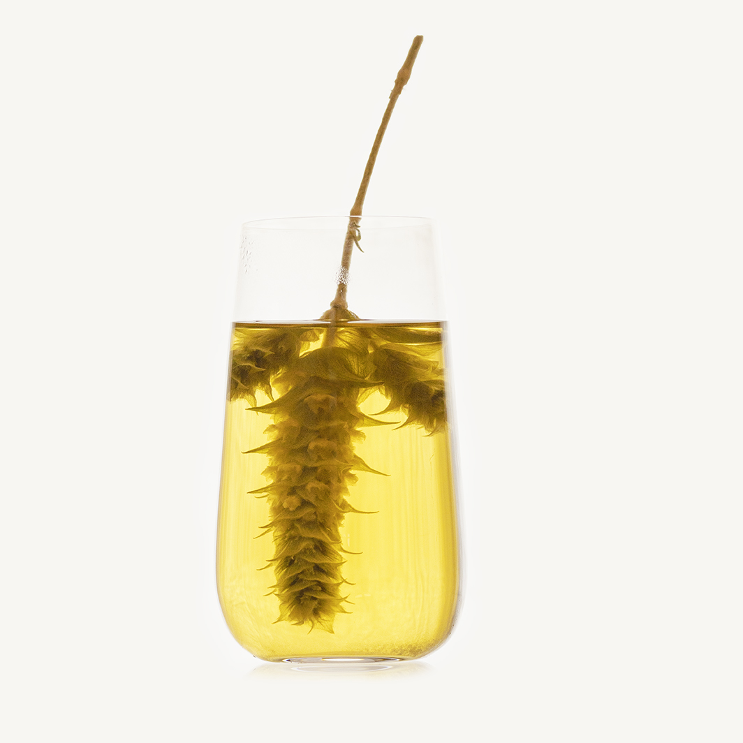 bergtee-GlasV9ghcjPfckE8F Bio griechischer Bergtee